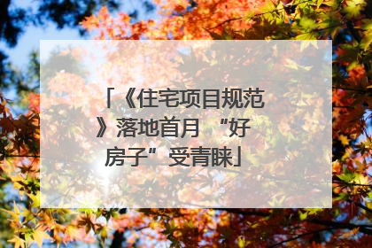 《住宅项目规范》落地首月 “好房子”受青睐