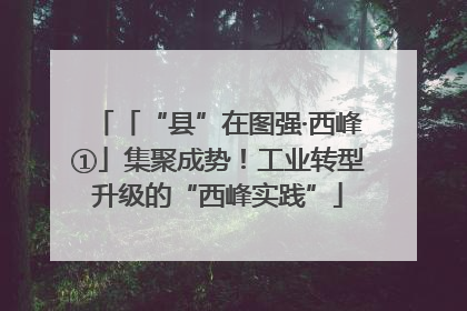 「“县”在图强·西峰①」集聚成势！工业转型升级的“西峰实践”