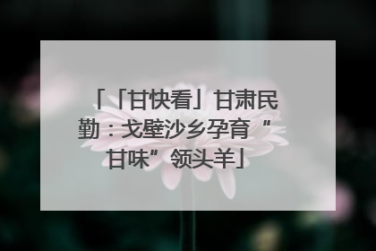 「甘快看」甘肃民勤：戈壁沙乡孕育“甘味”领头羊