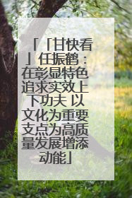 「甘快看」任振鹤：在彰显特色追求实效上下功夫 以文化为重要支点为高质量发展增添动能