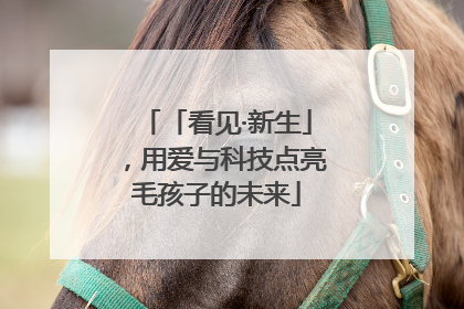 「看见·新生」，用爱与科技点亮毛孩子的未来