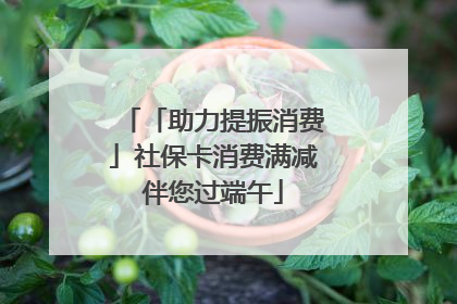 「助力提振消费」社保卡消费满减伴您过端午