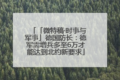 「微特稿·时事与军事」德国防长：德军需增兵多至6万才能达到北约新要求
