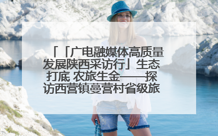 「广电融媒体高质量发展陕西采访行」生态打底 农旅生金——探访西营镇蔓营村省级旅游示范村的振兴密码
