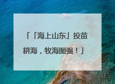 「海上山东」投苗耕海，牧海图强！