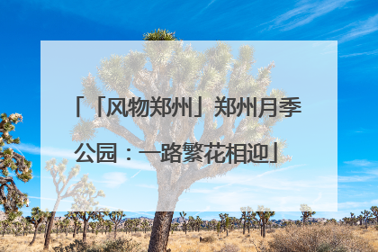 「风物郑州」郑州月季公园：一路繁花相迎