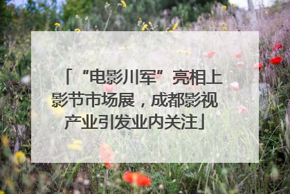 “电影川军”亮相上影节市场展，成都影视产业引发业内关注