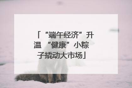 “端午经济”升温 “健康”小粽子撬动大市场