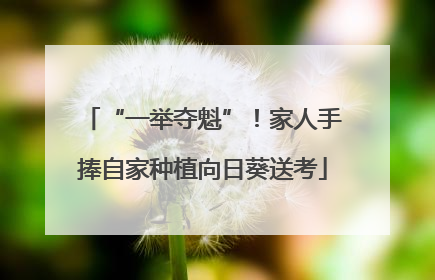 “一举夺魁”！家人手捧自家种植向日葵送考