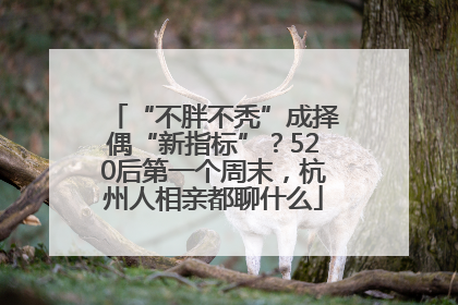 “不胖不秃”成择偶“新指标”？520后第一个周末，杭州人相亲都聊什么