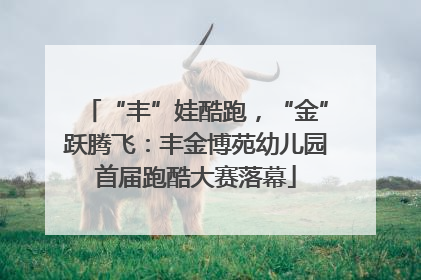 “丰”娃酷跑，“金”跃腾飞：丰金博苑幼儿园首届跑酷大赛落幕
