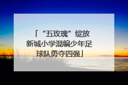 “五玫瑰”绽放 新城小学混编少年足球队勇夺四强