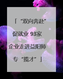 “双向奔赴”促就业 93家企业走进益阳师专“揽才”