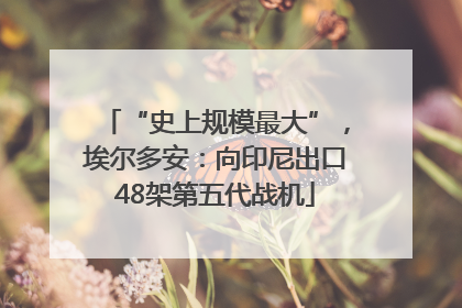 “史上规模最大”，埃尔多安：向印尼出口48架第五代战机