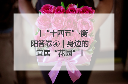 “十四五”·衡阳答卷④｜身边的宜居“花园”