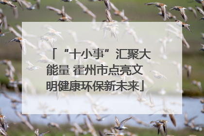 “十小事”汇聚大能量 霍州市点亮文明健康环保新未来