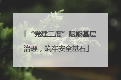 “党建三度”赋能基层治理,筑牢安全基石