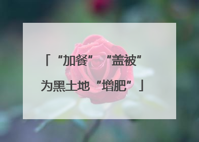 “加餐”“盖被” 为黑土地“增肥”