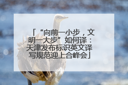 “向前一小步，文明一大步”如何译：天津发布标识英文译写规范迎上合峰会