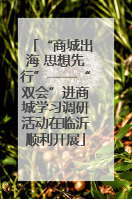 “商城出海 思想先行”——“双会”进商城学习调研活动在临沂顺利开展