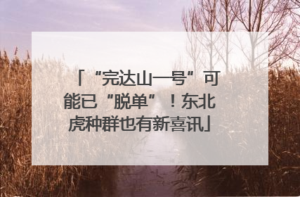 “完达山一号”可能已“脱单”！东北虎种群也有新喜讯