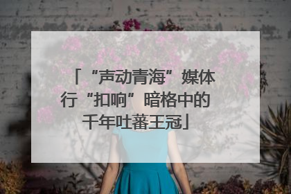 “声动青海”媒体行“扣响”暗格中的千年吐蕃王冠