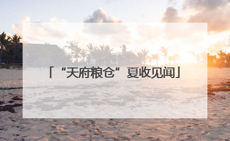 “天府粮仓”夏收见闻