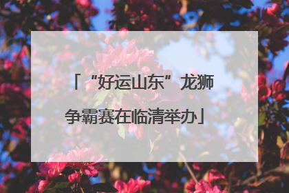 “好运山东”龙狮争霸赛在临清举办
