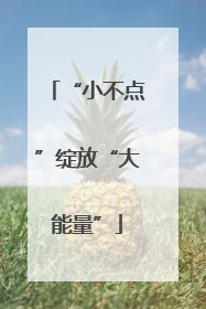 “小不点”绽放“大能量”