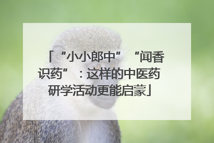 “小小郎中”“闻香识药”：这样的中医药研学活动更能启蒙