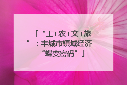 “工+农+文+旅”：丰城市镇域经济“蝶变密码”
