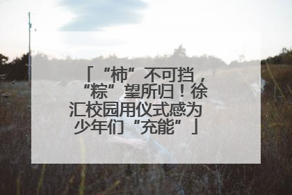 “柿”不可挡，“粽”望所归！徐汇校园用仪式感为少年们“充能”