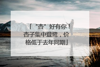 “杏”好有你！杏子集中登鹭，价格低于去年同期