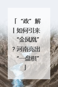 “政”解丨如何引来“金凤凰”？河南亮出“一盘棋”