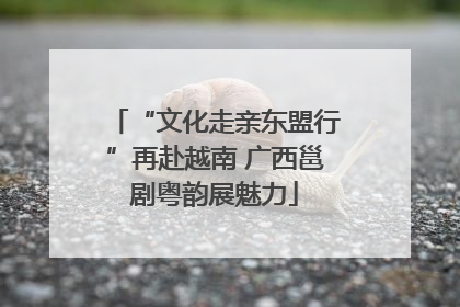 “文化走亲东盟行”再赴越南 广西邕剧粤韵展魅力