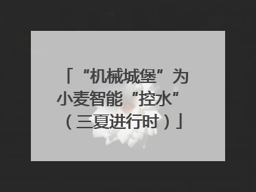 “机械城堡”为小麦智能“控水”（三夏进行时）
