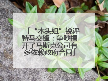 “木头姐”锐评特马交锋：争吵揭开了马斯克公司有多依赖政府合同