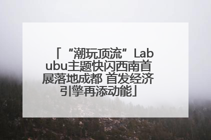“潮玩顶流”Labubu主题快闪西南首展落地成都 首发经济引擎再添动能