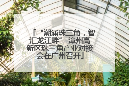 “潮涌珠三角，智汇龙江畔” 漳州高新区珠三角产业对接会在广州召开
