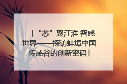 “芯”聚江淮 智感世界——探访蚌埠中国传感谷的创新密码