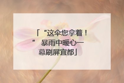 “这伞您拿着！” 暴雨中暖心一幕刷屏宜都