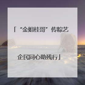 “金姐桂哥”传粽艺 企民同心助残行