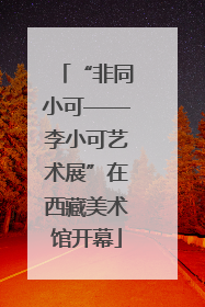 “非同小可——李小可艺术展”在西藏美术馆开幕