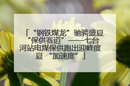 “钢铁煤龙”驰骋盛夏 “保供赛道”——七台河站电煤保供跑出迎峰度夏 “加速度”