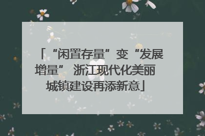 “闲置存量”变“发展增量” 浙江现代化美丽城镇建设再添新意