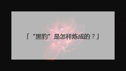 “黑豹”是怎样炼成的？