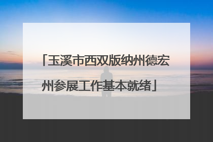 玉溪市西双版纳州德宏州参展工作基本就绪