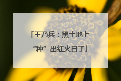 王乃兵：黑土地上“种”出红火日子