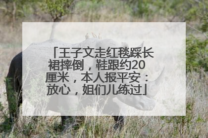 王子文走红毯踩长裙摔倒，鞋跟约20厘米，本人报平安：放心，姐们儿练过