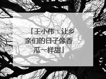 王小伟：让乡亲们的日子像香瓜一样甜